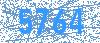 Anti-bot code
